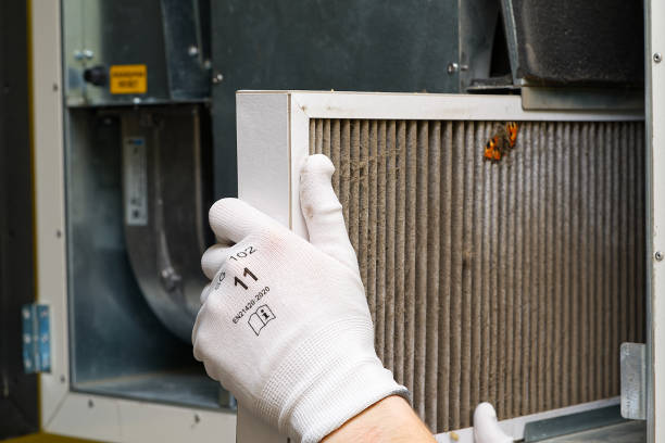 Best Air Quality Test  in Wheeler, TX