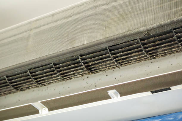 Best Home Air Vent Cleaning  in Wheeler, TX
